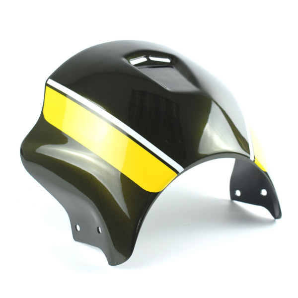 Ermax Ermax nose fairing | candytone green scheme | kawasaki z 900 rs 2019>current